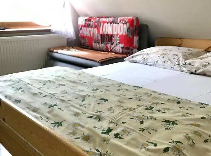 U Makowskich 民宿 扎科帕内